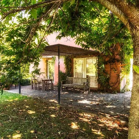 Wine Tourism - Quinta Do Ameal Country house *