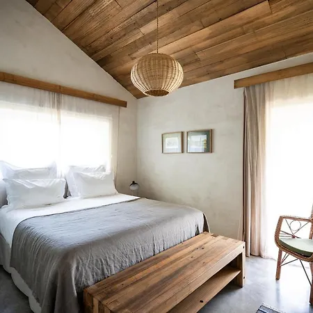 Country house Wine Tourism - Quinta Do Ameal