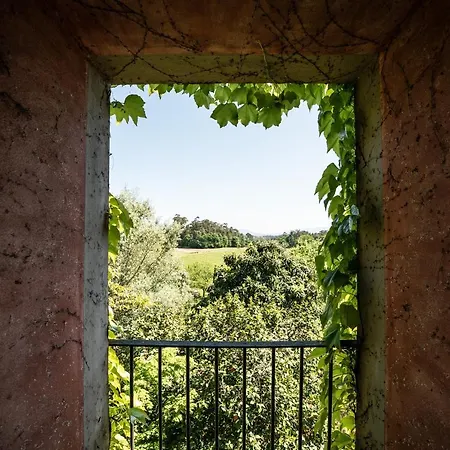Wine Tourism - Quinta Do Ameal Country house *