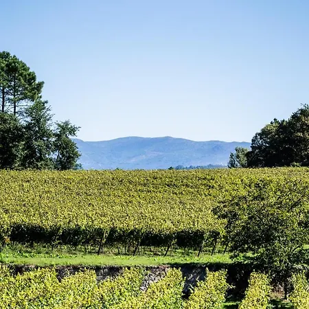 Wine Tourism - Quinta Do Ameal Refoios do Lima