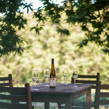 Wine Tourism - Quinta Do Ameal Country house *