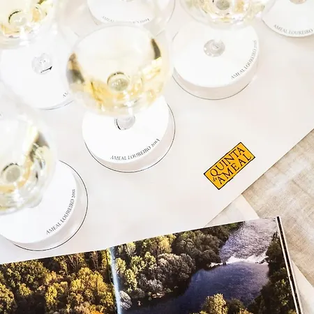 Wine Tourism - Quinta Do Ameal Country house