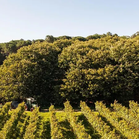 Wine Tourism - Quinta Do Ameal 乡村民宿 *