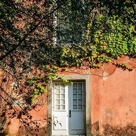 컨트리하우스 Wine Tourism - Quinta Do Ameal *