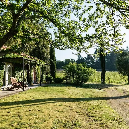 Country house Wine Tourism - Quinta Do Ameal