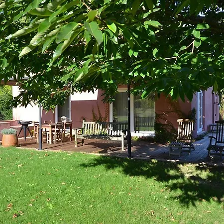 Wine Tourism - Quinta Do Ameal 乡村民宿