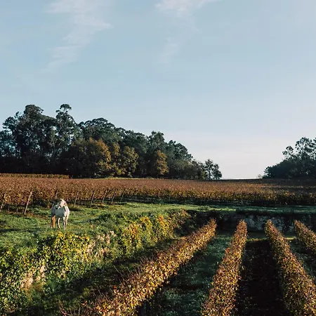 Wine Tourism - Quinta Do Ameal *