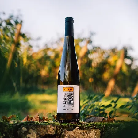 乡村民宿 Wine Tourism - Quinta Do Ameal