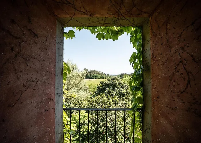 Wine Tourism - Quinta Do Ameal Landhuis *