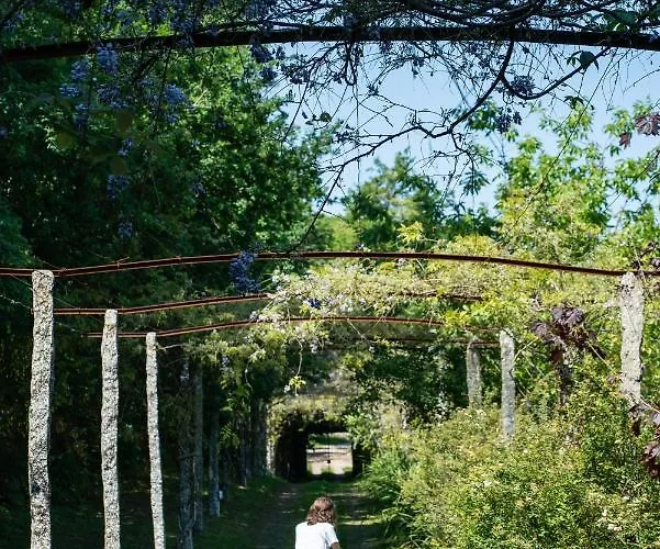 Wine Tourism - Quinta Do Ameal Refoios do Lima