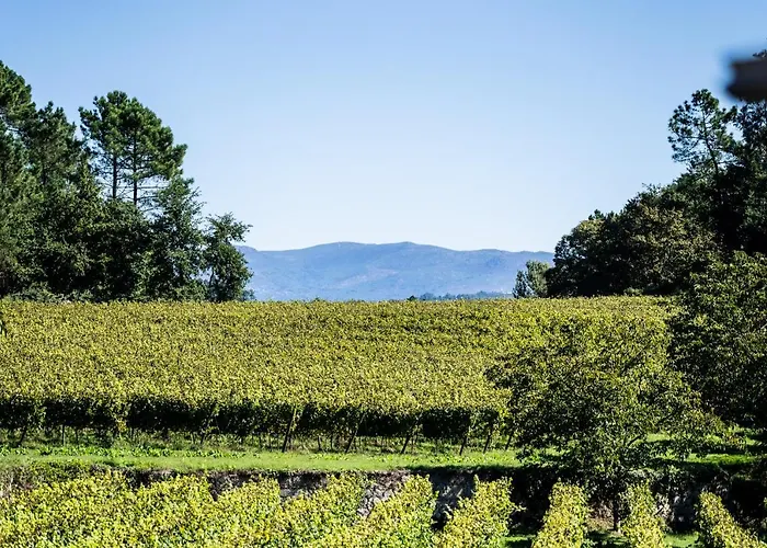Wine Tourism - Quinta Do Ameal Refoios do Lima