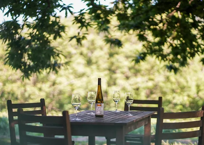 Wine Tourism - Quinta Do Ameal Landhuis *