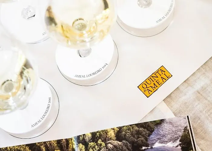 Wine Tourism - Quinta Do Ameal Летний дом