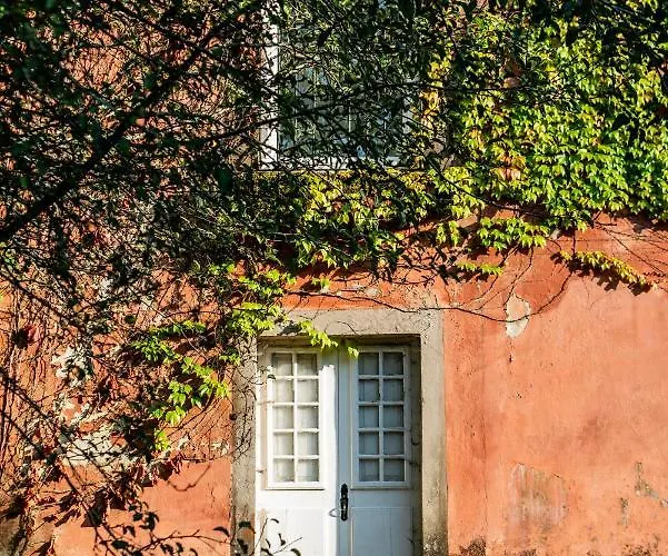 Landhuis Wine Tourism - Quinta Do Ameal *