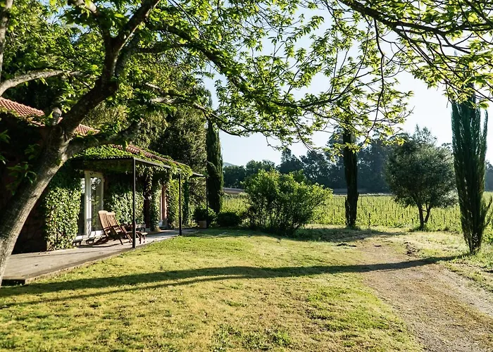 Landhuis Wine Tourism - Quinta Do Ameal