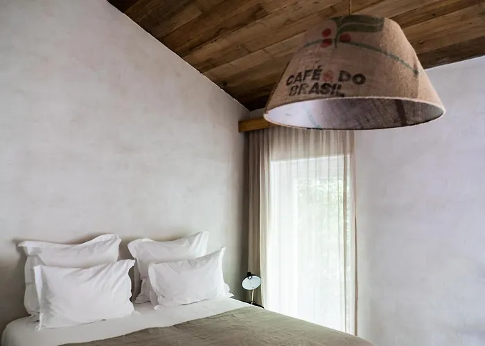 Wine Tourism - Quinta Do Ameal