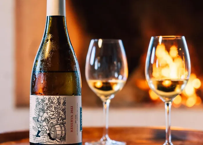 Wine Tourism - Quinta Do Ameal * Refoios do Lima