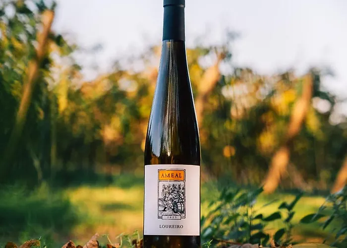 Landhuis Wine Tourism - Quinta Do Ameal